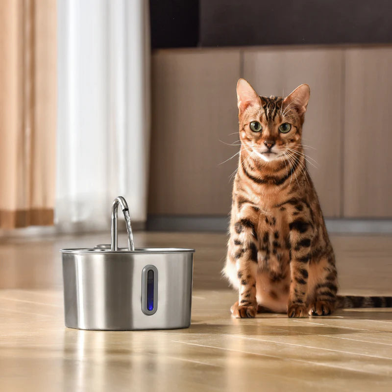 Kittendrink