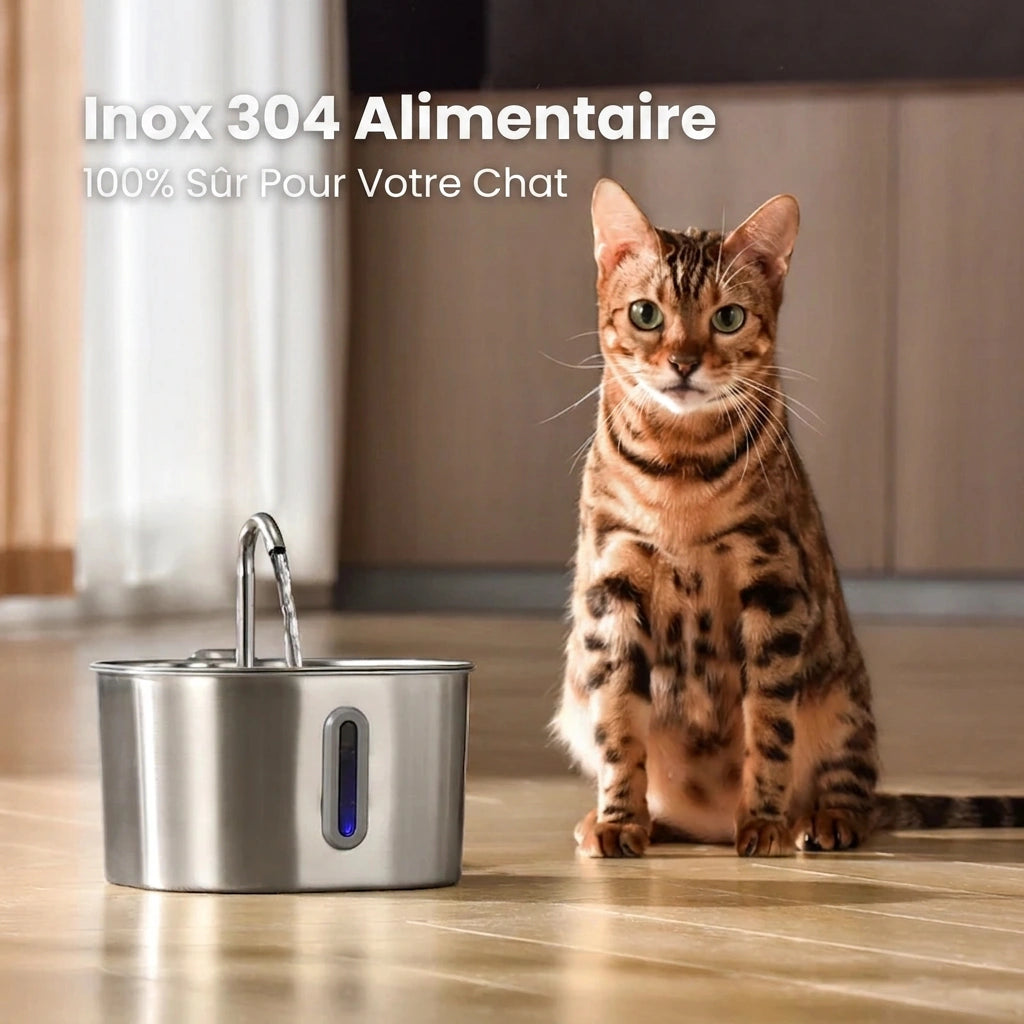 Kittendrink